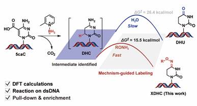 图示AI 生成的内容可能不正确。